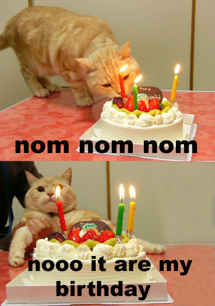 lolcatbirthday